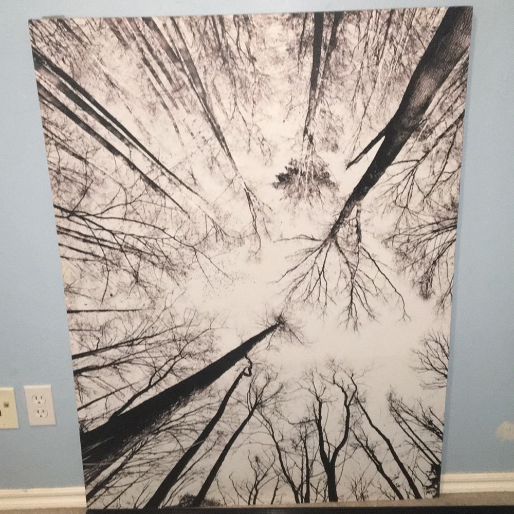 Art canvas